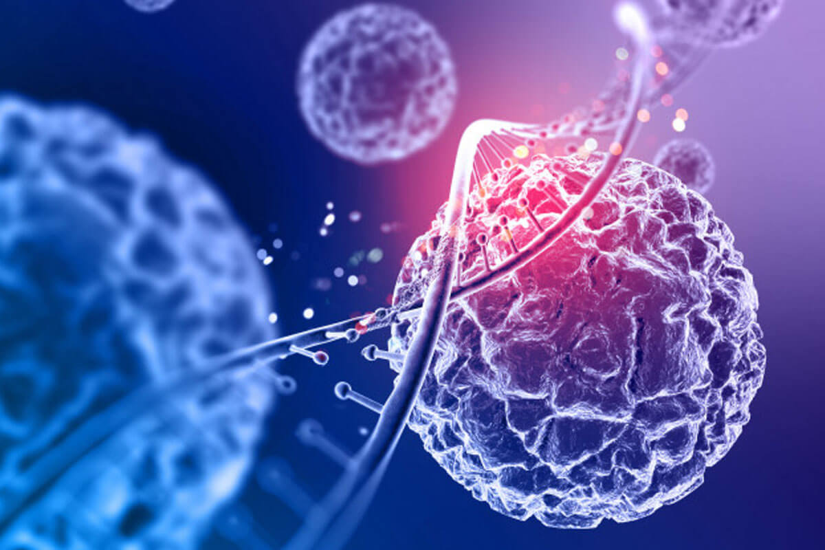 Conception d’ADN - Idée innovante de projet