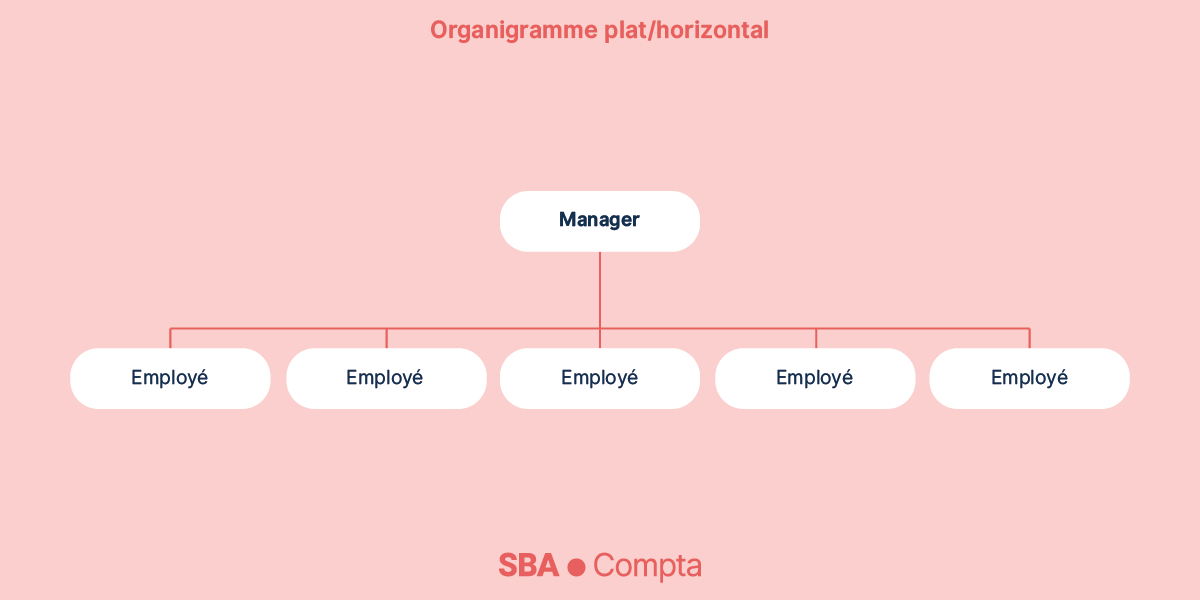 Organigramme plat: structure organisationnelle horizontale
