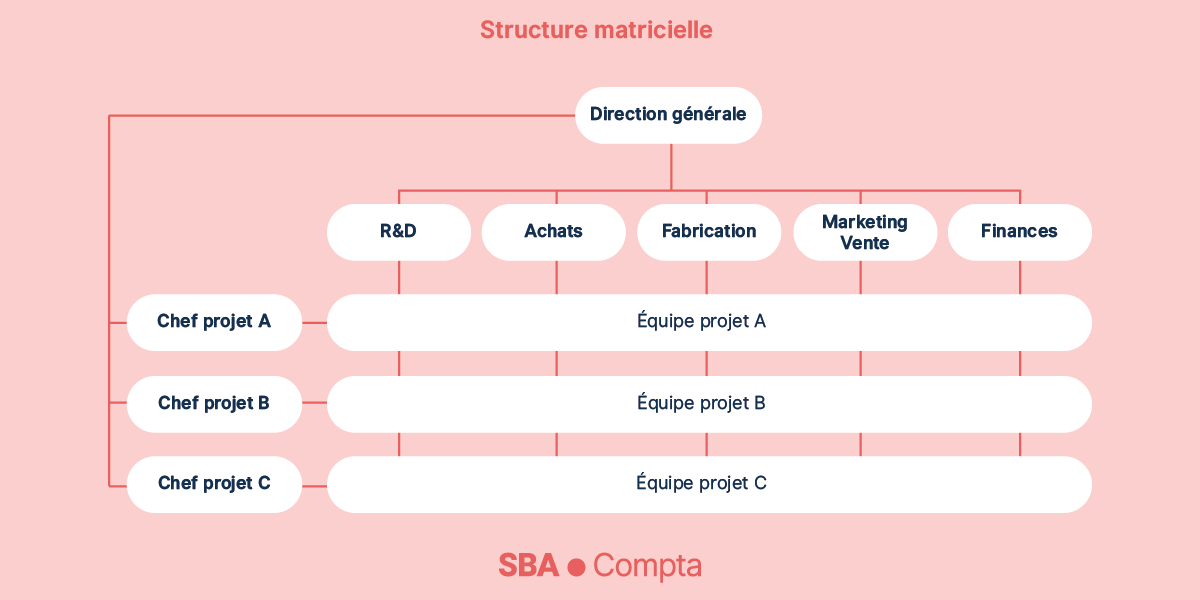 Organisation matricielle forte - Organigramme d’entreprise