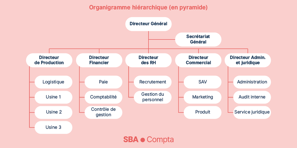 L’organigramme hiérarchique (en pyramide) - organigramme d’entreprise